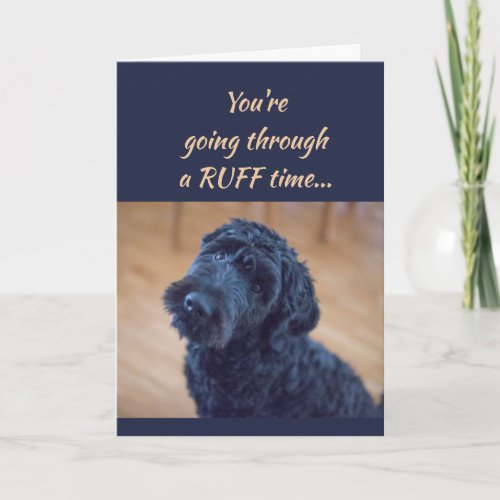 Encouragement Get Well Cute Black Curly Dog Pet Card