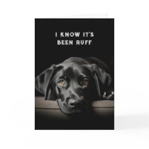 Encouragement/ Get Well Cute Black Labrador Dog Card