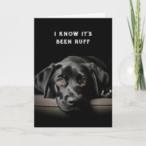 Encouragement Get Well Cute Black Labrador Dog Card