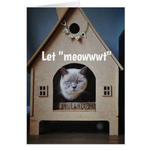 Encouragement/ Get Well Cute Cat Looking Out Cards
