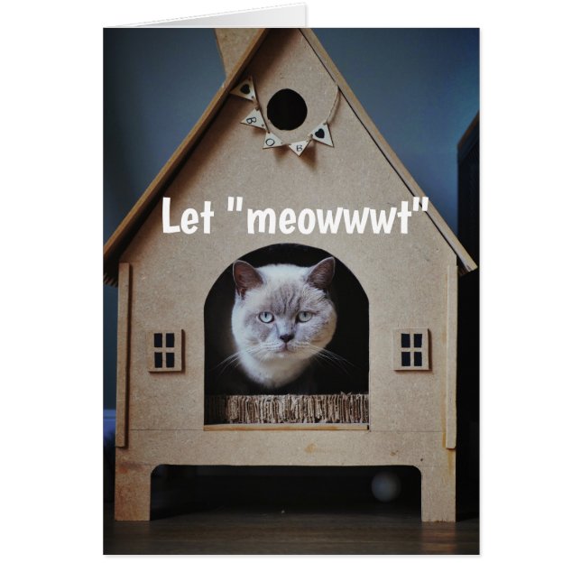 Encouragement/ Get Well Cute Cat Looking Out Cards (Front)