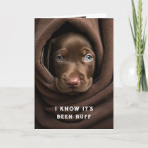 Encouragement/ Get Well Cute Chocolate Lab Dog Card