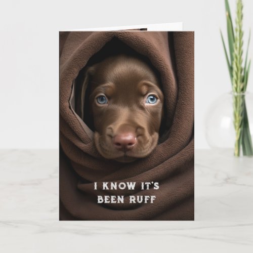 Encouragement Get Well Cute Chocolate Lab Dog Card