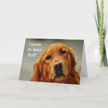 Encouragement/ Get Well Cute Golden Retriever Dog Card