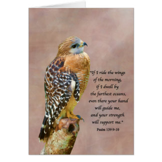 Encouragement, Get Well, Spiritual, Hawk on a Limb Card