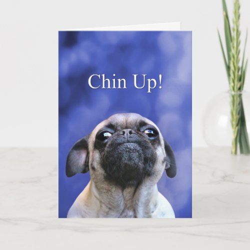 Encouragement Hang in There Chinn Up Pug Dog Card