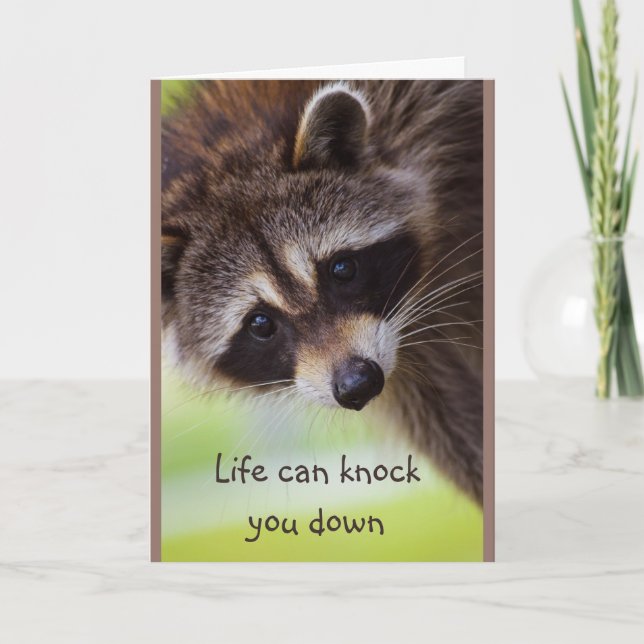 Encouragement Life can knock you down Raccoon Card (Front)