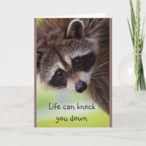 Encouragement Life can knock you down Raccoon Card