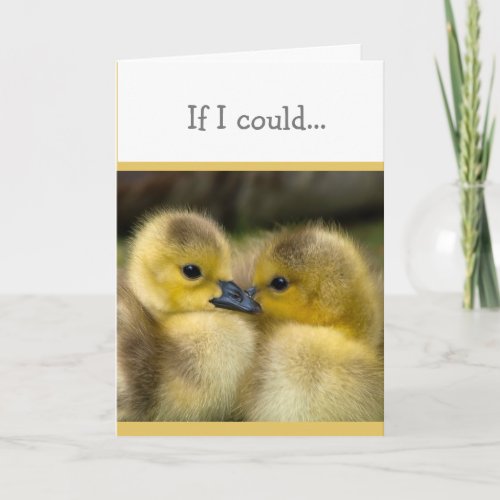 Encouragement or Get Well Cuddling Ducklings Card