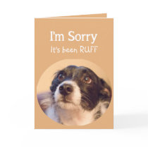 Encouragement or Get Well with a Sad but Cute Dog Card