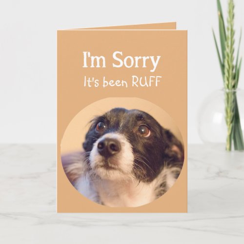 Encouragement or Get Well with a Sad but Cute Dog Card