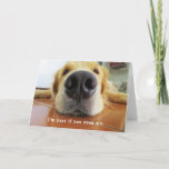 Encouragement Support Get Well Add A Name Cute Dog Card at Zazzle
