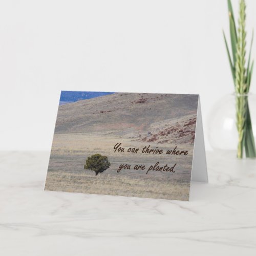 Encouragement _ Thrive Where You Are Planted Card