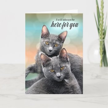 Encouragement Two Gray Cats Here For You Card by PAWSitivelyPETs at Zazzle