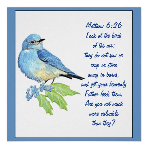 Encouraging Bible Scripture Matthew Bluebird Poster