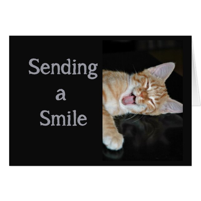 Encouraging Get Well Smiles Cute Smiling Cat Cards (Front Horizontal)