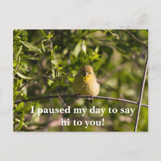 Encouraging Greeting Card with Yellow Baby Bird