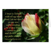 Encouraging Scripture Proverbs 3:4-6 Cards (Front Horizontal)