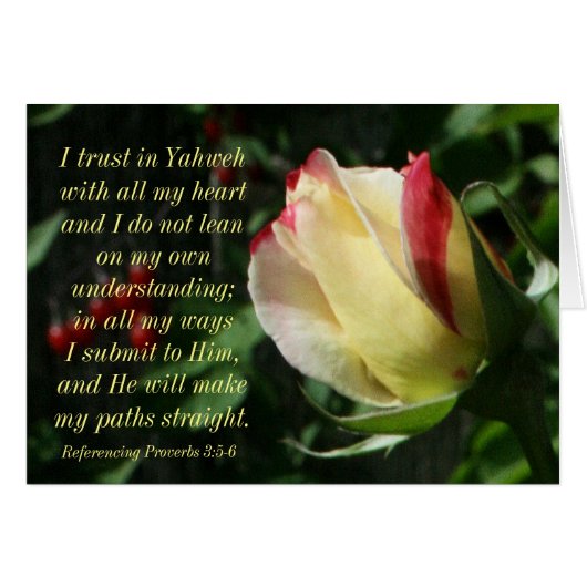 Encouraging Scripture Proverbs 3:4-6 Cards (Front Horizontal)
