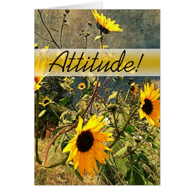 Encouragment Sunflowers Before The Storm Clouds (Front)