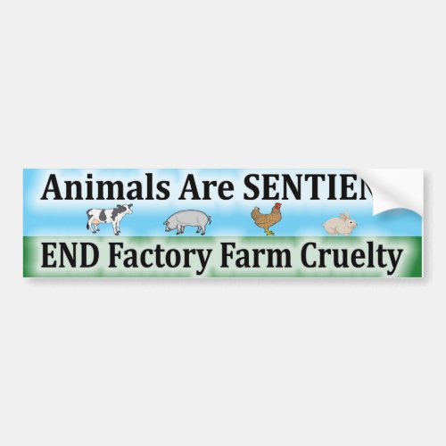 End Factory Farm Cruelty Bumper Sticker