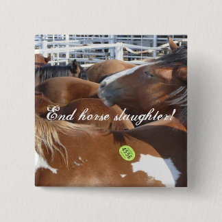 End horse slaughter! button
