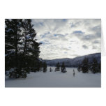 End of a Snowy Day in Yellowstone National Park