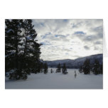 End of a Snowy Day in Yellowstone National Park Cards