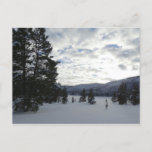 End of a Snowy Day in Yellowstone National Park Postcard