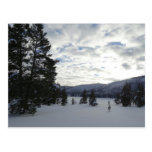 End of a Snowy Day in Yellowstone National Park Postcard