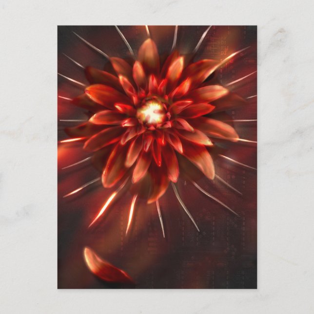 End of flowers - Postcard (Front)