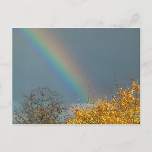 End of the Rainbow Postcard (Front)