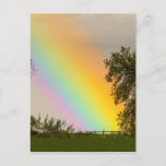 End Of The Rainbow Pot Of Gold Postcard