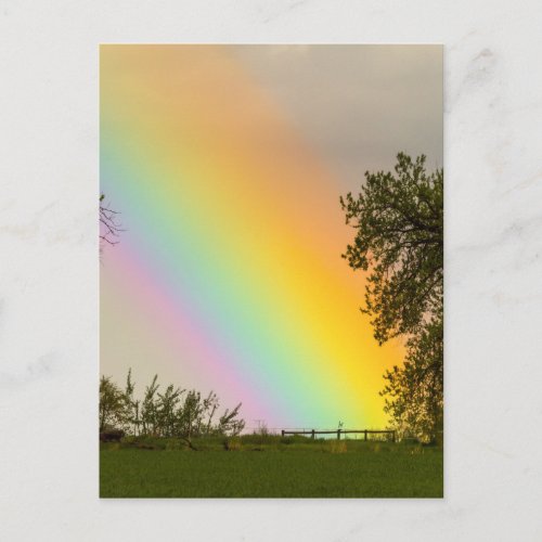 End Of The Rainbow Pot Of Gold Postcard