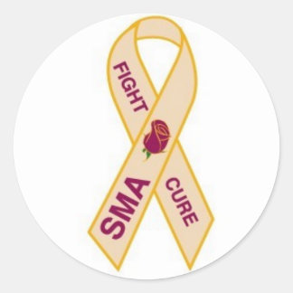 END-SMA-pin Classic Round Sticker
