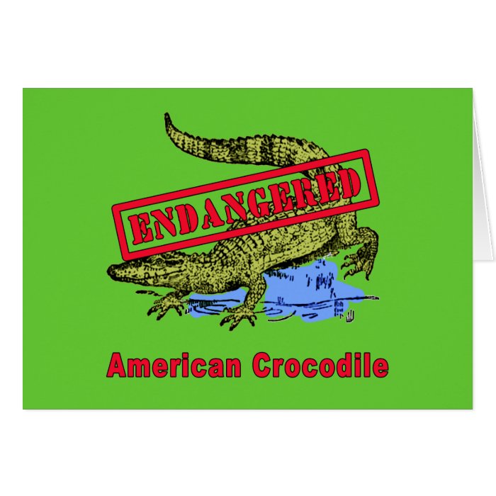 Endangered American Crocodile Products Greeting Cards