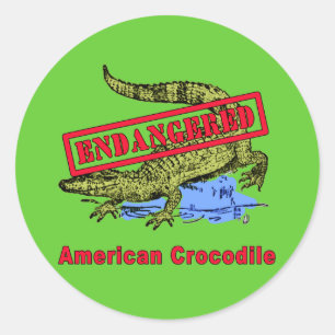 Endangered American Crocodile Products Classic Round Sticker