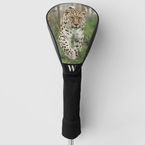 Endangered Amur Leopard Photo Monogram Initial  Golf Head Cover