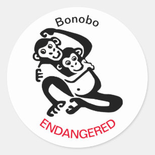 Endangered animal -BONOBO -Pygmy chimpanzee  Classic Round Sticker