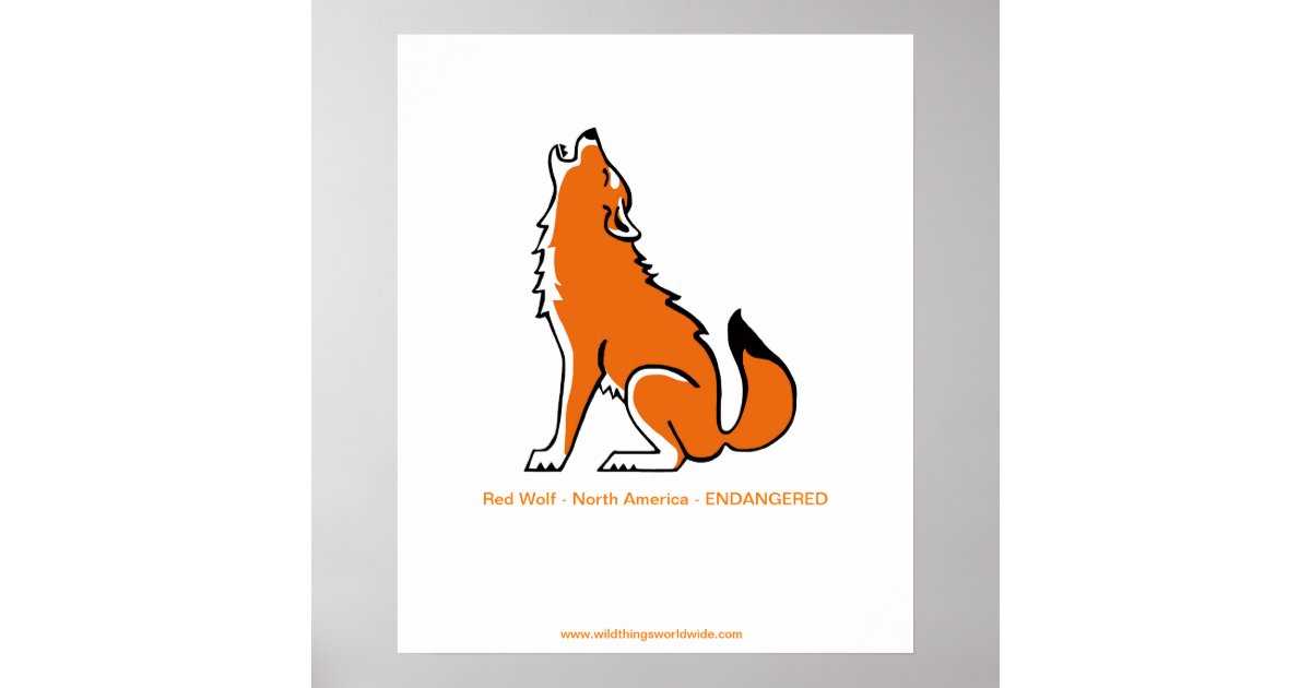 Endangered animal - Howling Red Wolf - poster | Zazzle