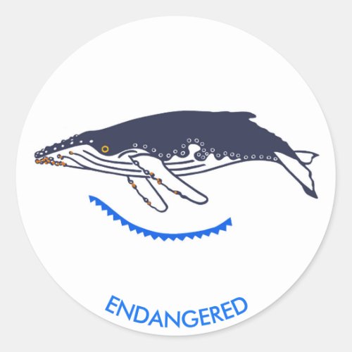 Endangered animal _ Humpback WHALE _Wildlife _ Classic Round Sticker