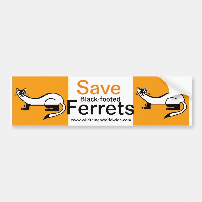 Endangered animal - Save Black-footed FERRETS-  Bumper Sticker (Front)