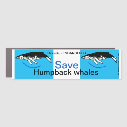 Endangered animal _ Save Humpback WHALES  Car Magnet