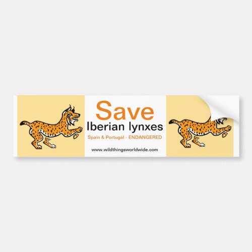 Endangered animal _ Save Iberian LYNXES _ Yellow Bumper Sticker