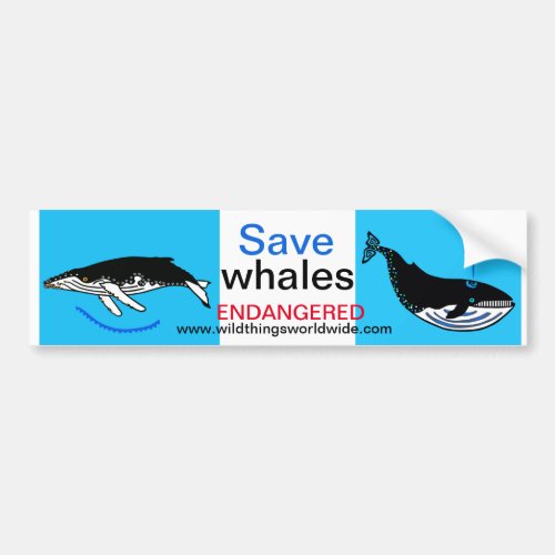 Endangered animal _  Save WHALES _Wildlife _Nature Bumper Sticker