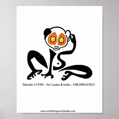 Endangered animal _ Slender Slow LORIS _ Poster