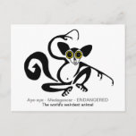 Endangered animal - Weird - ugly- AYE-AY Postcard