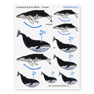 Endangered animal - WHALES -Wildlife - Nature Temporary Tattoos