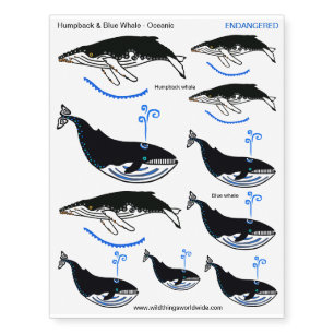 Endangered animal - WHALES- Wildlife - Nature - Temporary Tattoos