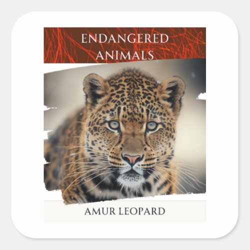 Endangered Animals _ Amur Leopard Square Sticker